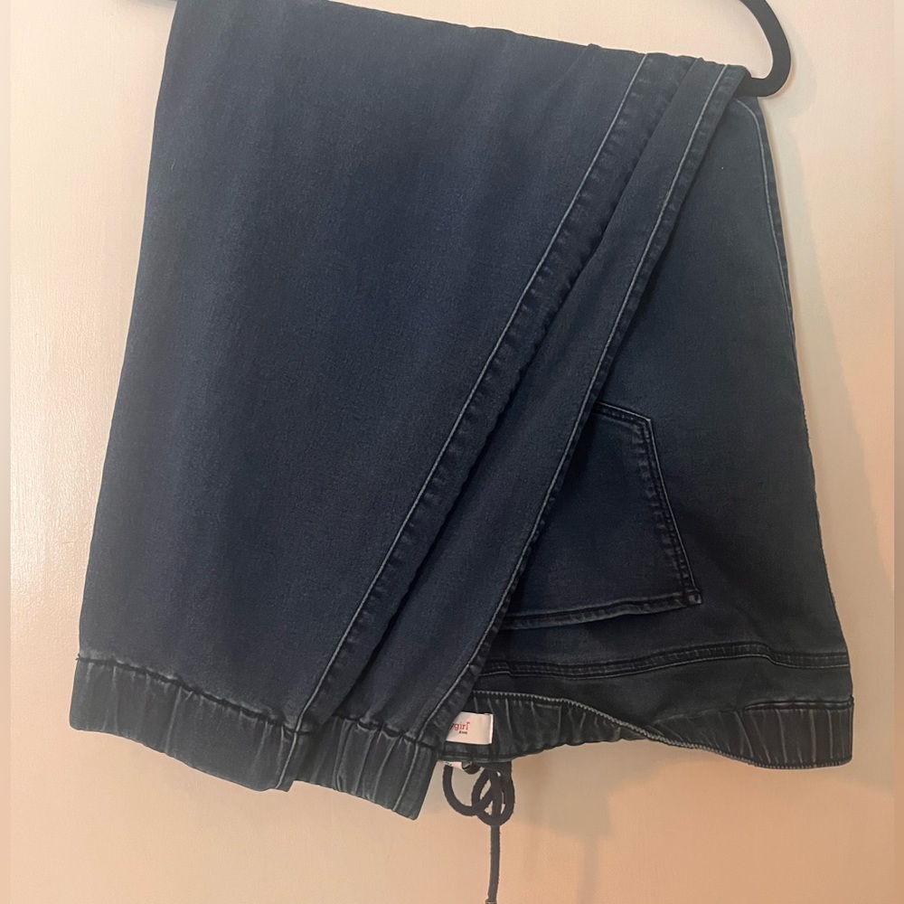 Plus Size SkinnyGirl Jeans Size 3x